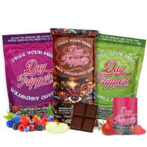 Buy 3 Get 1 FREE Bundle Daytripper