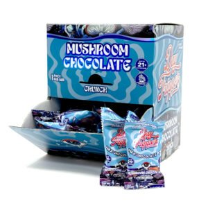 Buy Daytripper Mushroom Chocolate Single Serve
